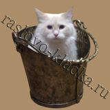 кованое ведро для золы кот